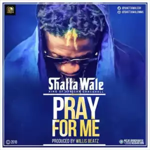 Shatta Wale - Pray For Me (Prod. by Willis Beatz)